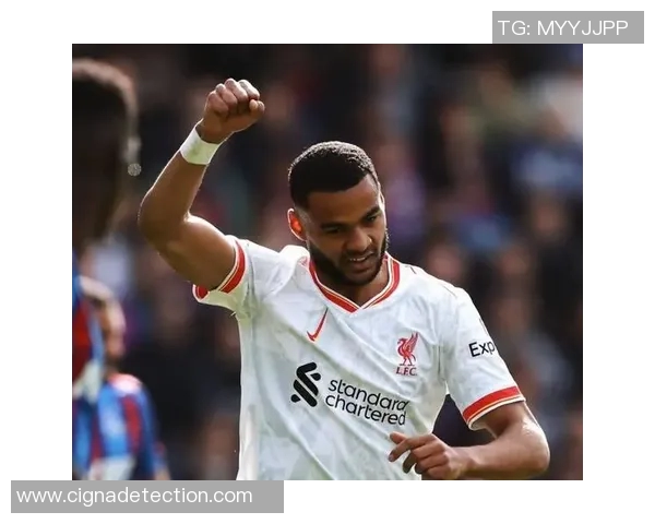 足球明星因伤做手术重返赛场的励志故事与复苏之路